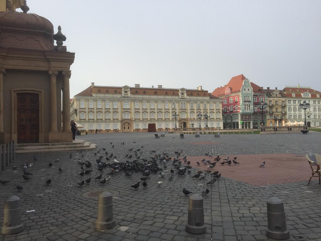 Apartament Lux Unirii Timisoara Esterno foto